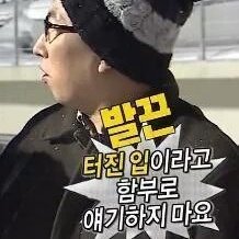 ㅅㅓㄱ진이 건들이지마 시벨