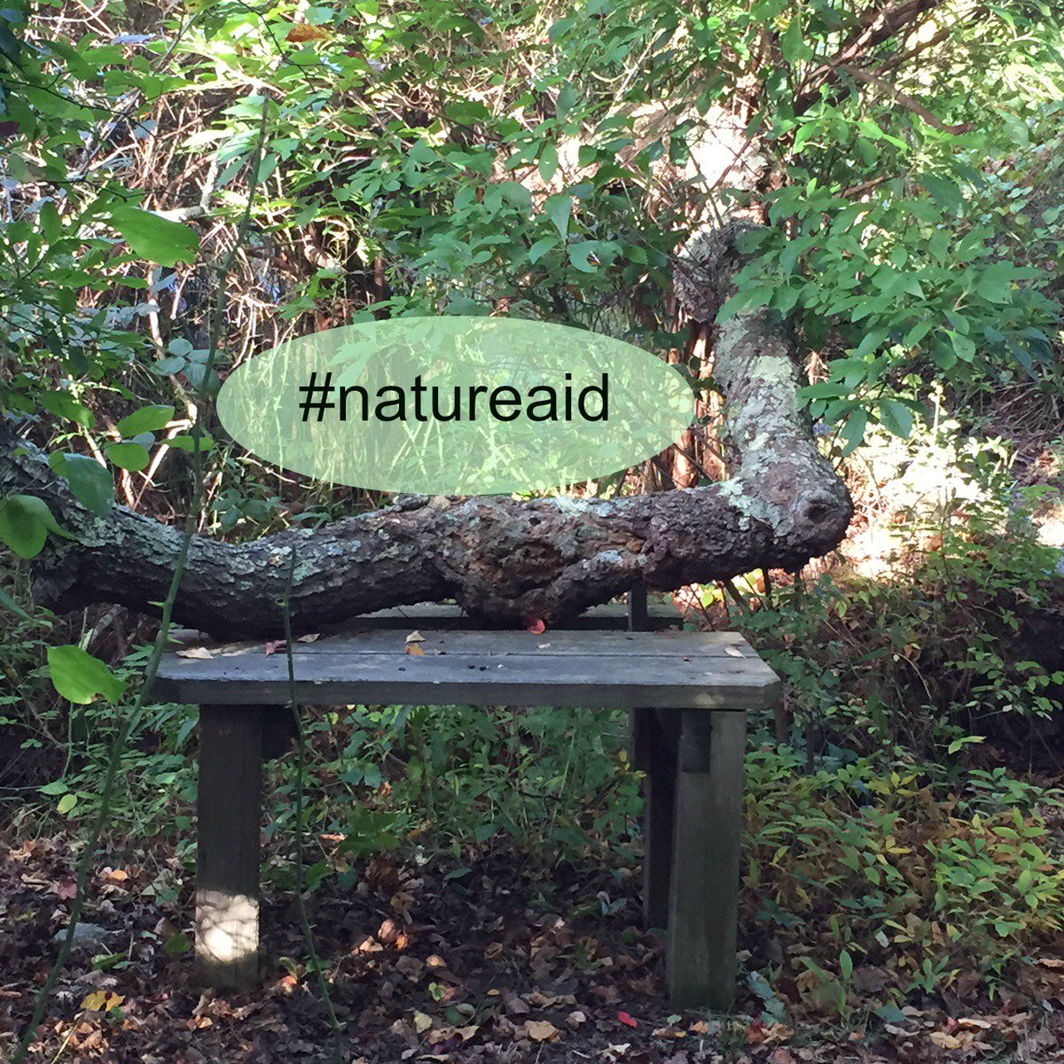 HYLtweets's tweet photo. Love this image of helping nature. #helpnature #natureaid #bringbackbalance #namaste #nature #weareone #yoga https://t.co/azmP37ZIA6