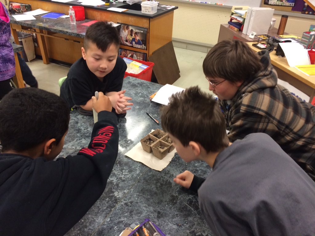 Mr_JDeli's tweet photo. A little growth occurred in mystery soil "A" over night! @SabishMiddle #mrdeliscience https://t.co/qMC16BcJht