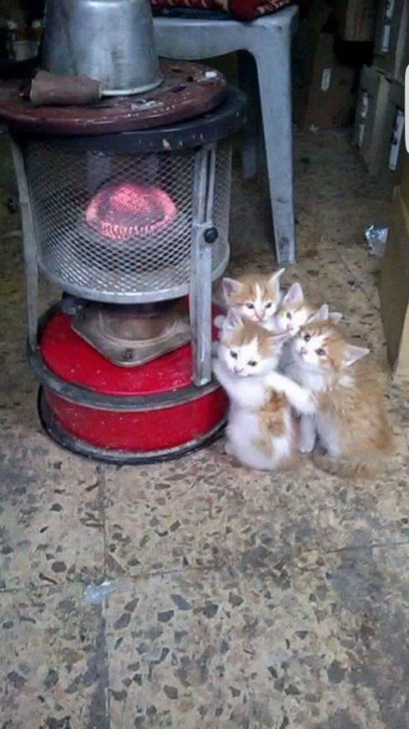 Selami Gülay (@selamigulay) on Twitter photo 