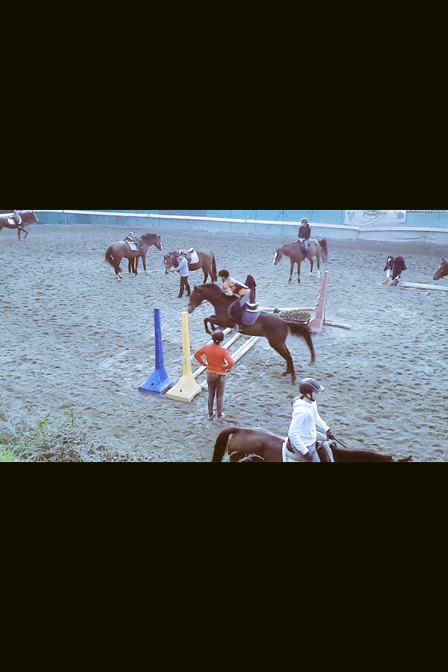 jeeulia's tweet photo. Non riesco a spiegare quello che provo mentre salto, vi posso solo dire che lo amo🌙👽 https://t.co/1BwUepCr3L