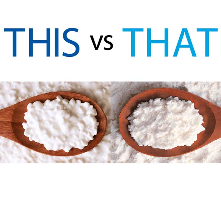 Lasagna Debate Ricotta Cheese Vs Cottage Cheese Youtube