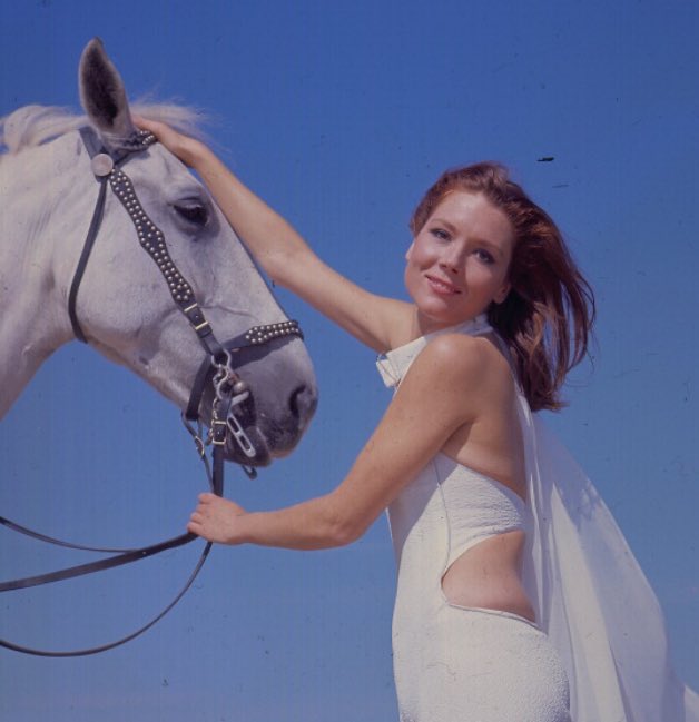 "A horse is a thing of beauty... none will tire of looking at him as long as he displays himself in his splendour."