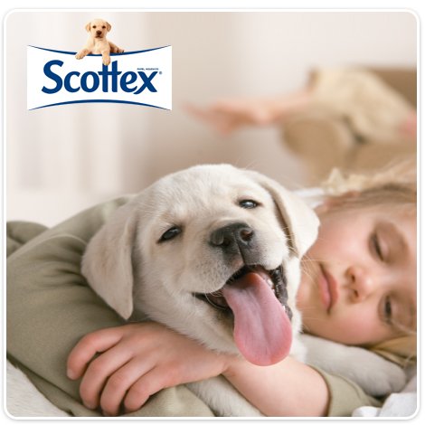 ¿Quién no disfruta un miércoles en  buena compañía? ¡Disfruta con Scottex®!