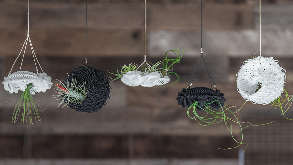 Intel_Spain's tweet photo. Esta serie de plantas en #3Dprinted se inspiró en fósiles microscópicos. @joabaldwin > https://t.co/I0HL2NJSjy https://t.co/uS4IGW7mNp