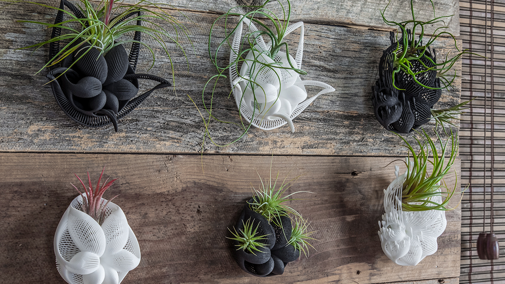 Intel_Spain's tweet photo. Esta serie de plantas en #3Dprinted se inspiró en fósiles microscópicos. @joabaldwin > https://t.co/I0HL2NJSjy https://t.co/uS4IGW7mNp