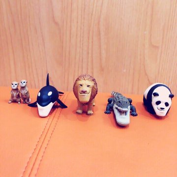 アゴが進化したシャクレてる動物たち シャクレルプラネット が話題に Fundo