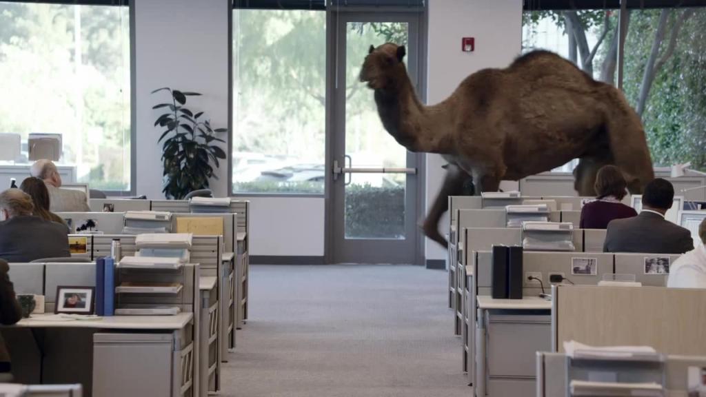 Daily SAT Practice tweet media