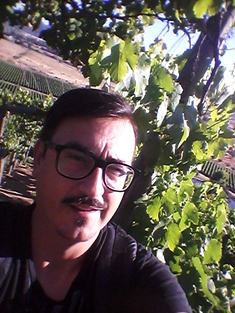 iceppi tweet picture