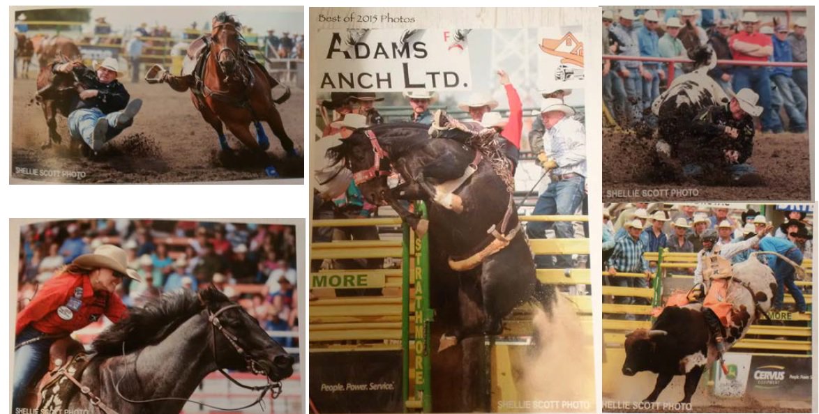 Shellie Scott tweet media