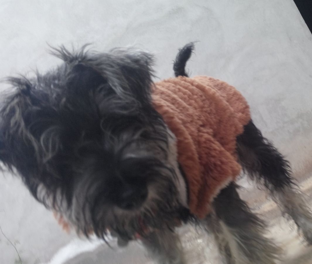 HanIhtzany's tweet photo. Cada día te extraño un poco mas :( #Marino #sequedo #entamaz https://t.co/L9XcfmZIlo