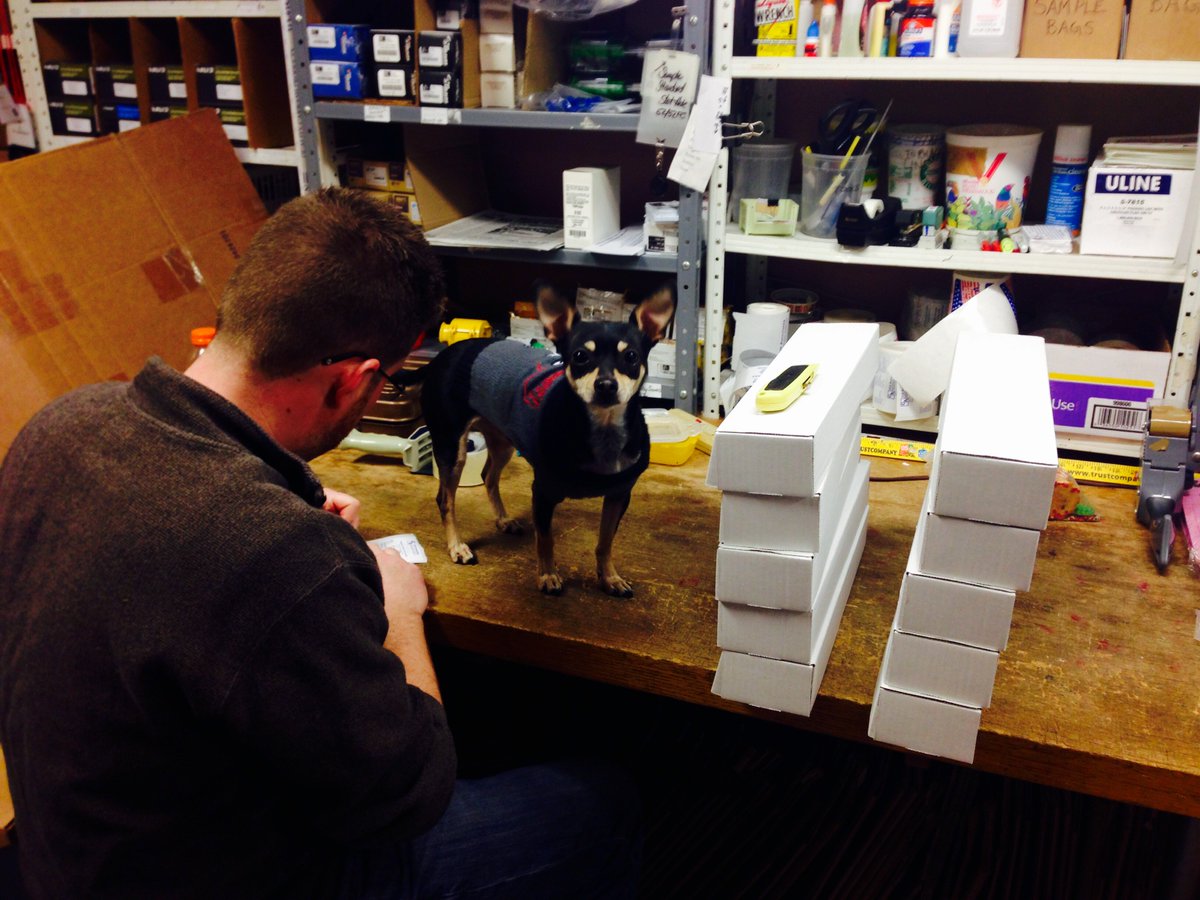 GILL_ID_SYSTEMS's tweet image. JD and Chica working together @GILL_ID_SYSTEMS