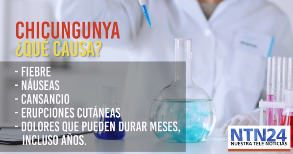 HERGtv's tweet photo. #Video ¿Realmente hay mucha diferencia entre el Zika y el Chicungunya? Aquí le contamos --► https://t.co/UglqAmZvXo https://t.co/u3pWvu8YZK