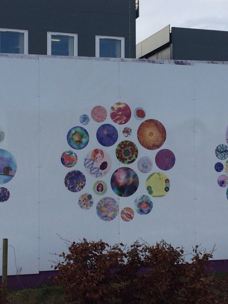 MandyPrintmaker's tweet image. Hoarding project at the Astra Zeneca site. The results of last years workshops. With @kjinksdesign