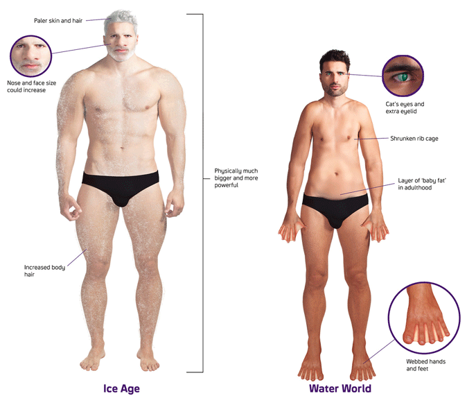 Daily Express on X: Smaller jaw, NO TEETH and an opposable big toe – how  humans will evolve   / X