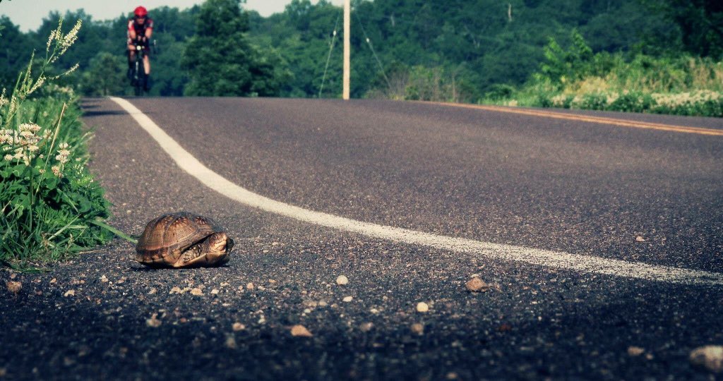 InspiredToRide's tweet image. The Tortoise and the Hare...
watch.inspiredtoride.it 🚴🏻🐢 
#InspiredToRide