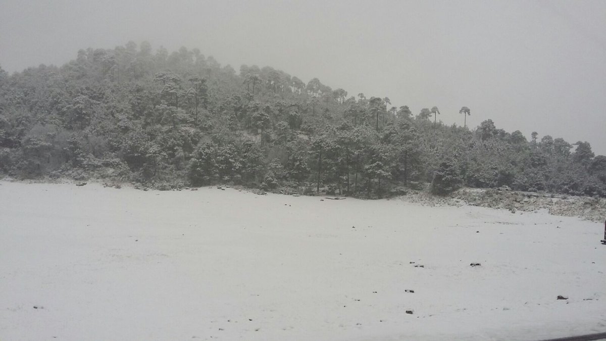 Claridaddiario's tweet photo. Así las inmediaciones del Ajusco! https://t.co/MIHXvXJ4YO
