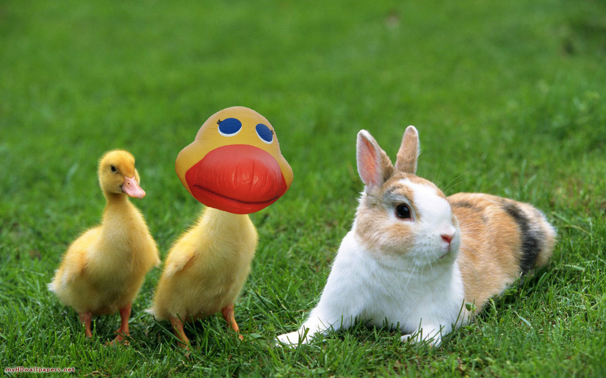 Just chillin with some of my friends