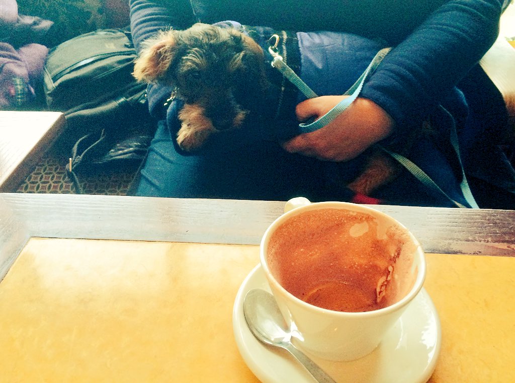 tobysausage's tweet photo. My first ever coffee shop visit! Thanks for having me @RedCarpetBarton https://t.co/izqAQO5KWD