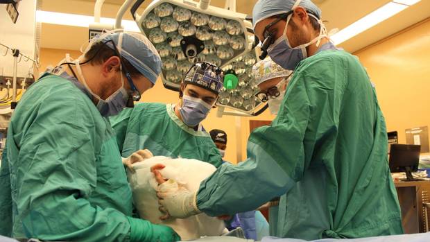 Embedded image permalink