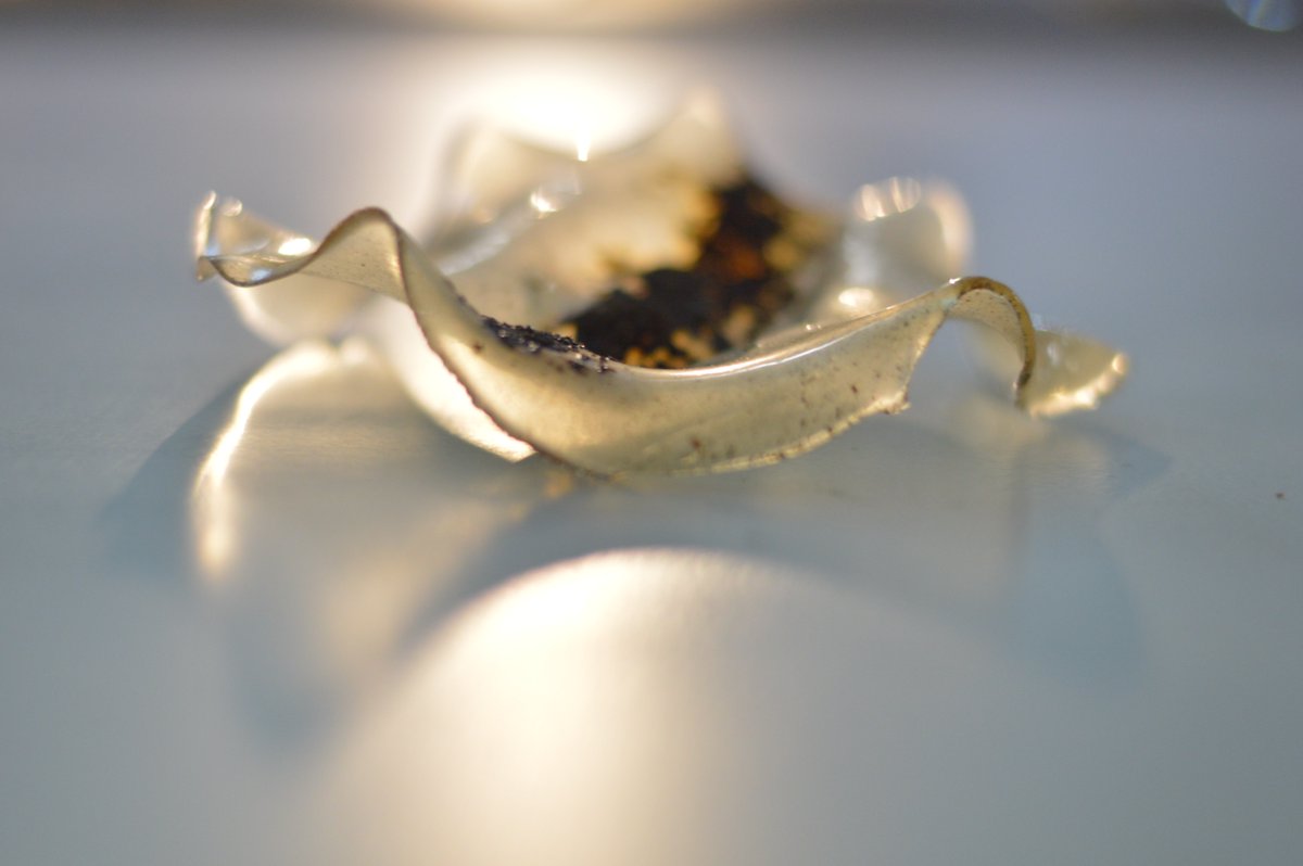 IAAC's tweet image. #SmartMaterials from #SpaceDynamics #Workshop. Can buildings perform as environmentally integrated #LivingOrganisms?