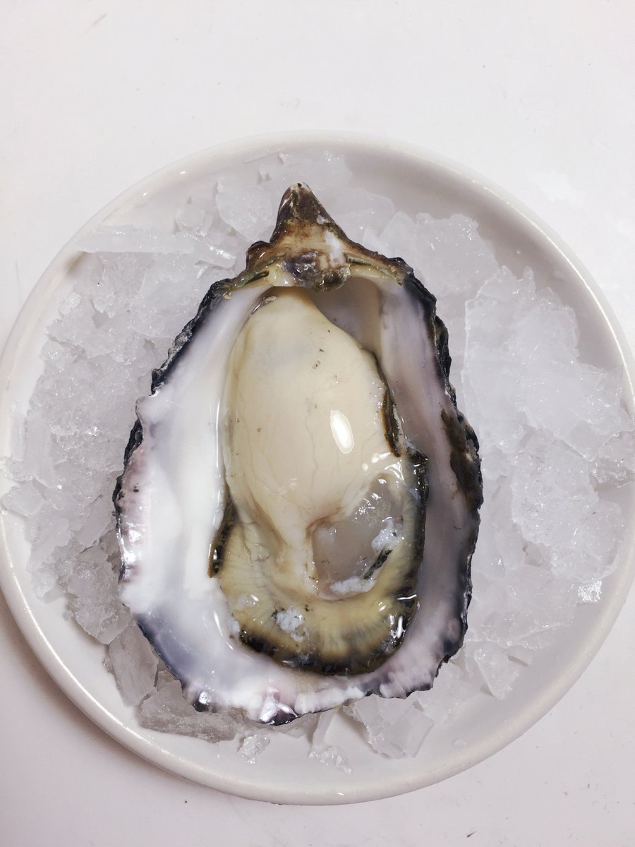 legalseafoods's tweet image. Out of the water &amp;amp; on to our plate...#CompassPoint #Oysters from Samish, WA now available.