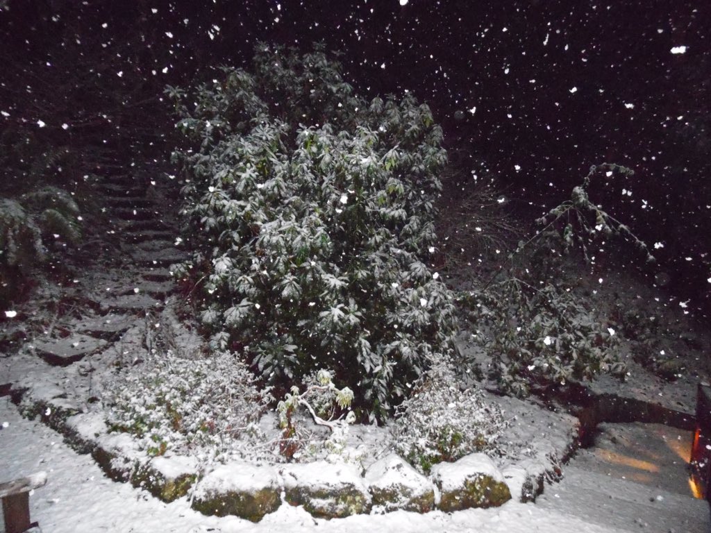 grasmerevillage's tweet photo. RT @MitchellcpPam: It's snowing !!! #Grasmere https://t.co/JZDRprQMN9