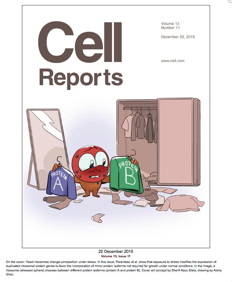 RiboClub tweet media