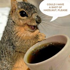 ShaesQueendom's tweet image. Good Morning #ModelingFamily bit.ly/1S7akjy