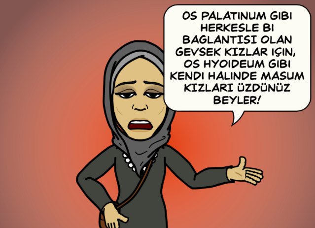 Üzdünüz beyler...