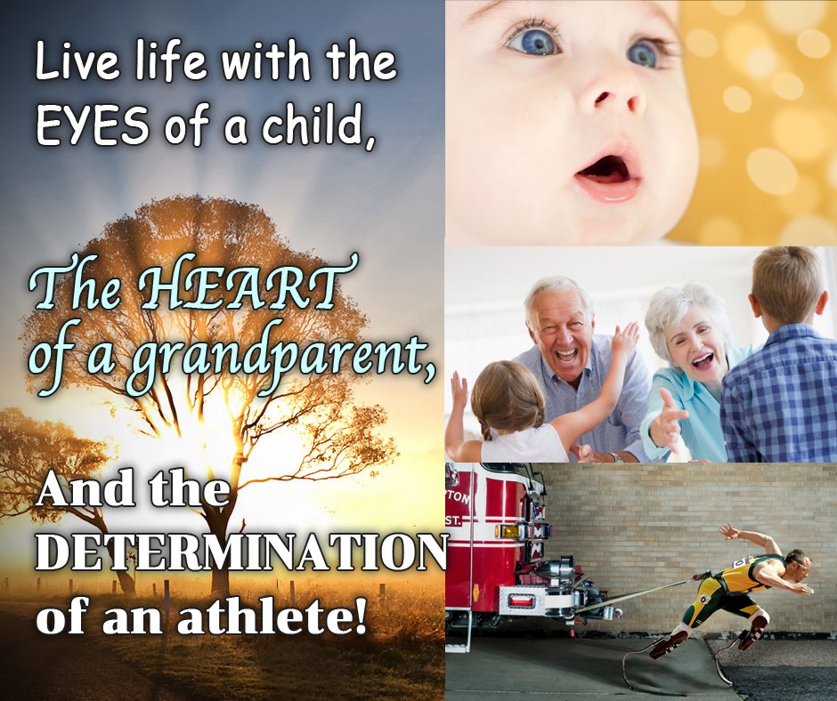 just_vis's tweet image. Words to live by.
#JustVisualize #inspirationalquotes #design #art #quotesoftheday