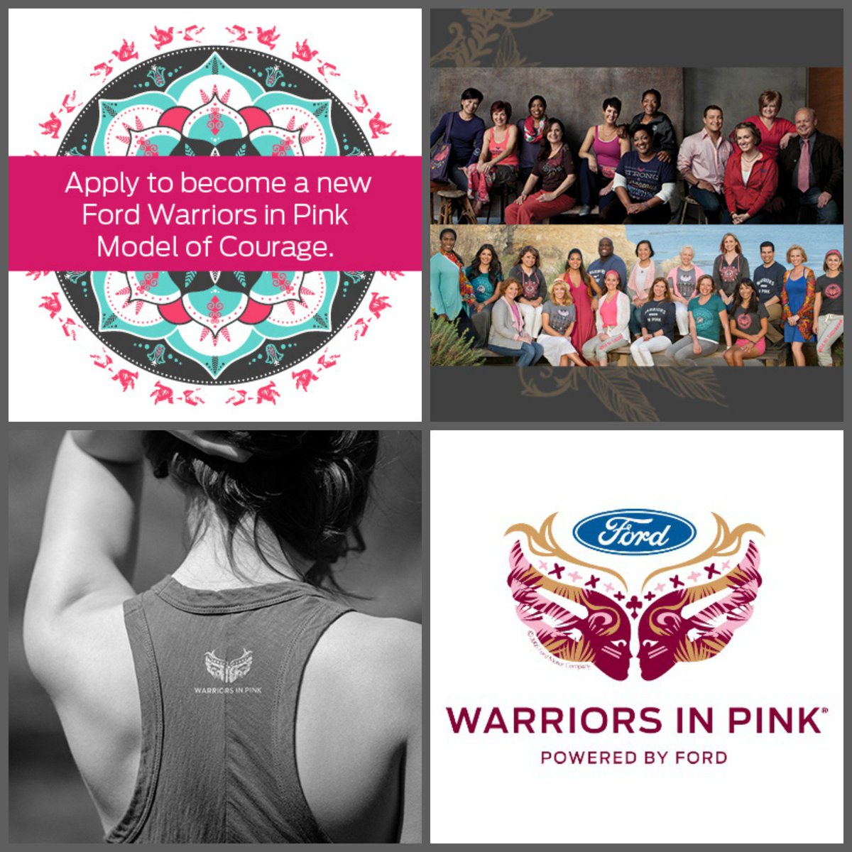 ThePinkFund's tweet photo. Join the fight! Apply to be a @WarriorsinPink 2016 #ModelofCourage. Submit your story at https://t.co/RD9DnA1sCg https://t.co/P4nUqYchbE