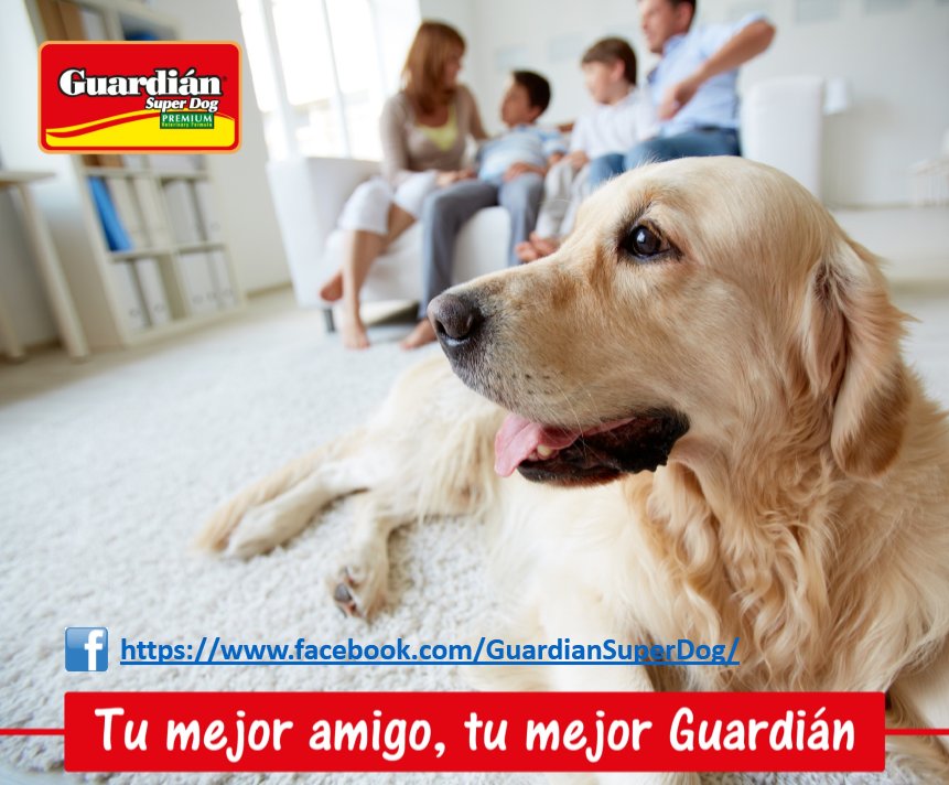 Tresko_mascotas's tweet photo. ¿Quieres ganar un saco de Guardián 10 KG para tu mascota?  Averigua en nuestro facebook y sigue las instrucciones https://t.co/OzZ1j0Tq16