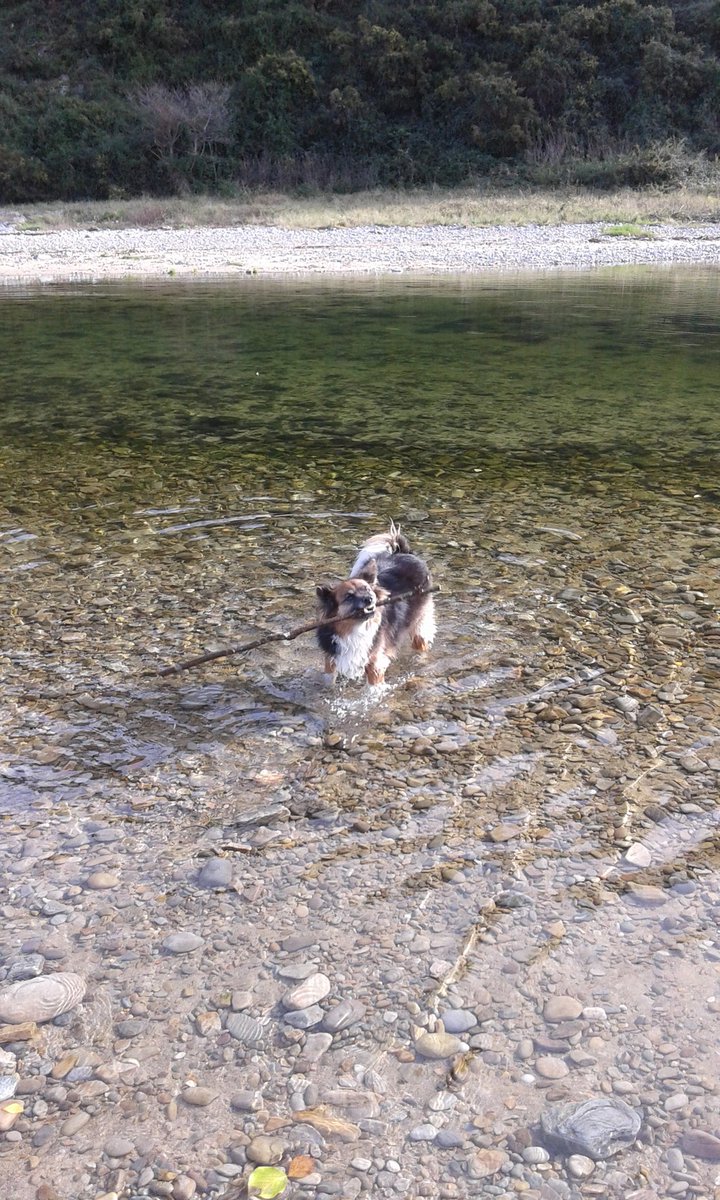 thasmys's tweet photo. En el agua https://t.co/7hvxMcd71j