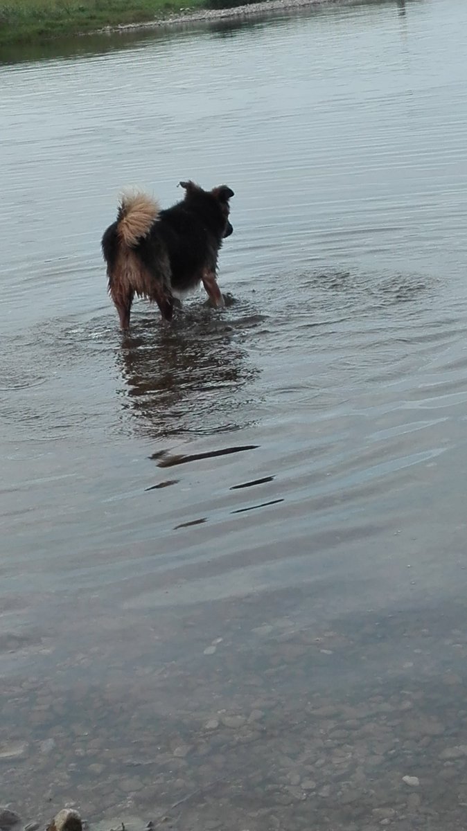 thasmys's tweet photo. En el agua https://t.co/7hvxMcd71j
