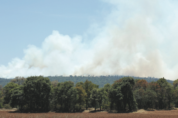 Capital_Qro's tweet photo. Reportan baja en incendios forestales: @CONAFOR_Hidalgo https://t.co/4stFSDP1QM https://t.co/Mbq3fhZLRT