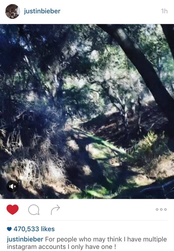 bieberupdate_jp's tweet photo. JustinのIGより: 僕が何個もインスタのアカウント持ってると思ってる人、これ一つしかないよ！ https://t.co/rHmcnZo0os