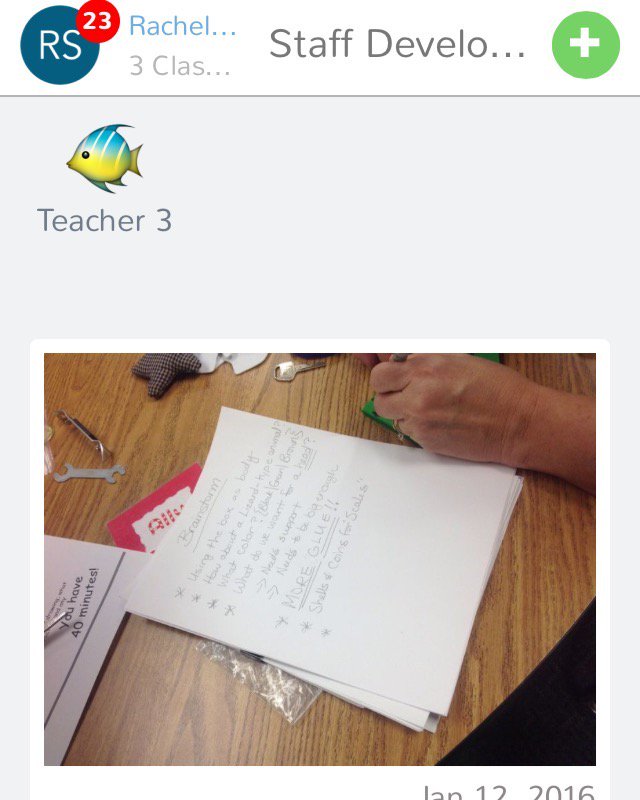 MrsStrauss tweet media