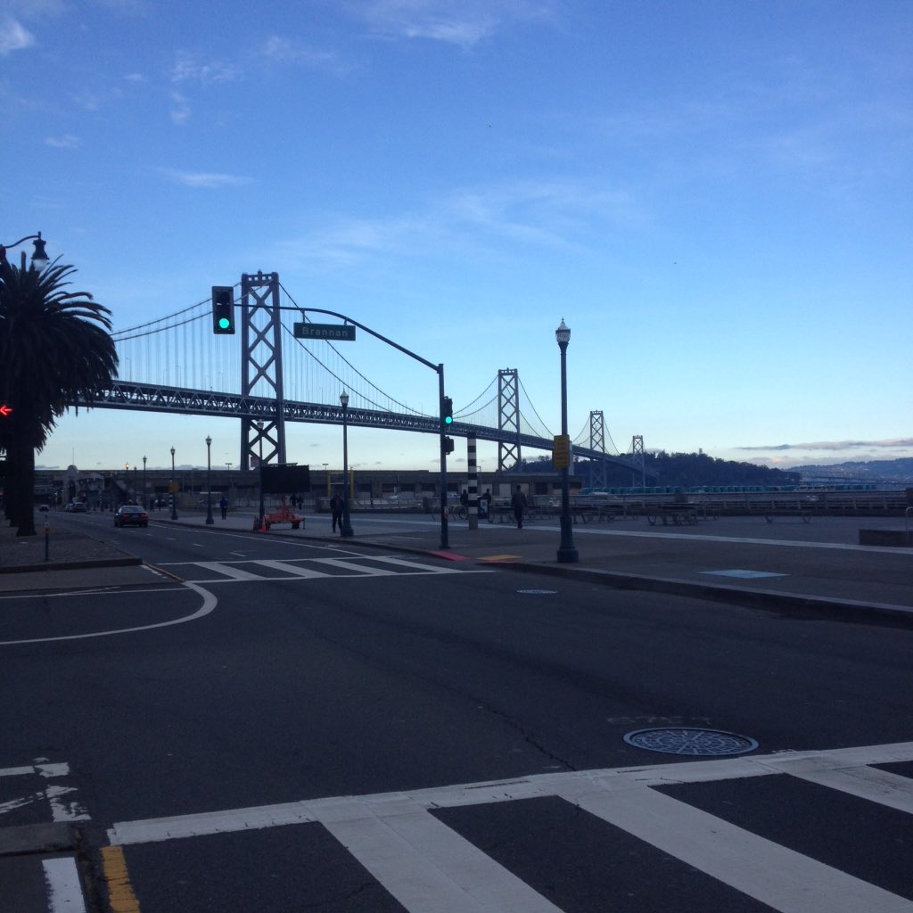 The_Exploress's tweet photo. Nothing but palm trees this Wednesday. Hope you all are having a great day! #travelpics #exploress #SanFrancisco https://t.co/N2gJvd6DVt