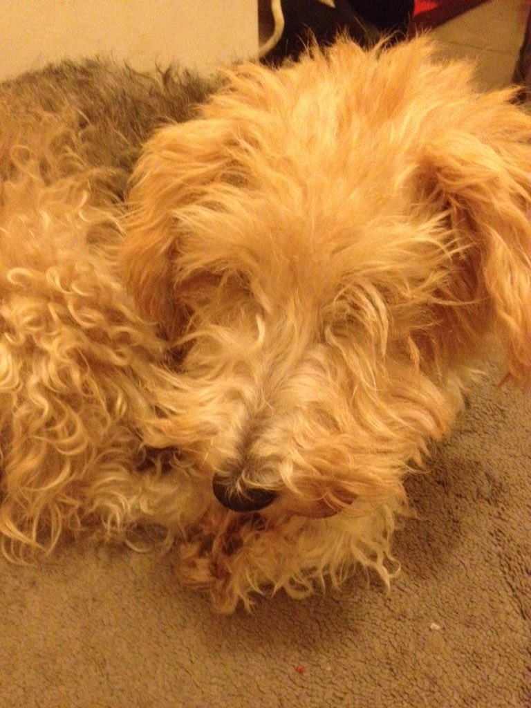 Clara Kayser (@clarakayser) on Twitter photo 