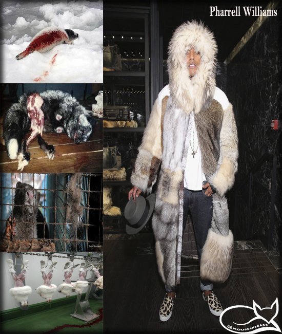 NoUsesPieles's tweet photo. #PharrellWilliams bad people dress with fur...
@Pharrell las malas personas se visten con pieles...
#NoUsesPieles https://t.co/wtQG7Q8oJQ