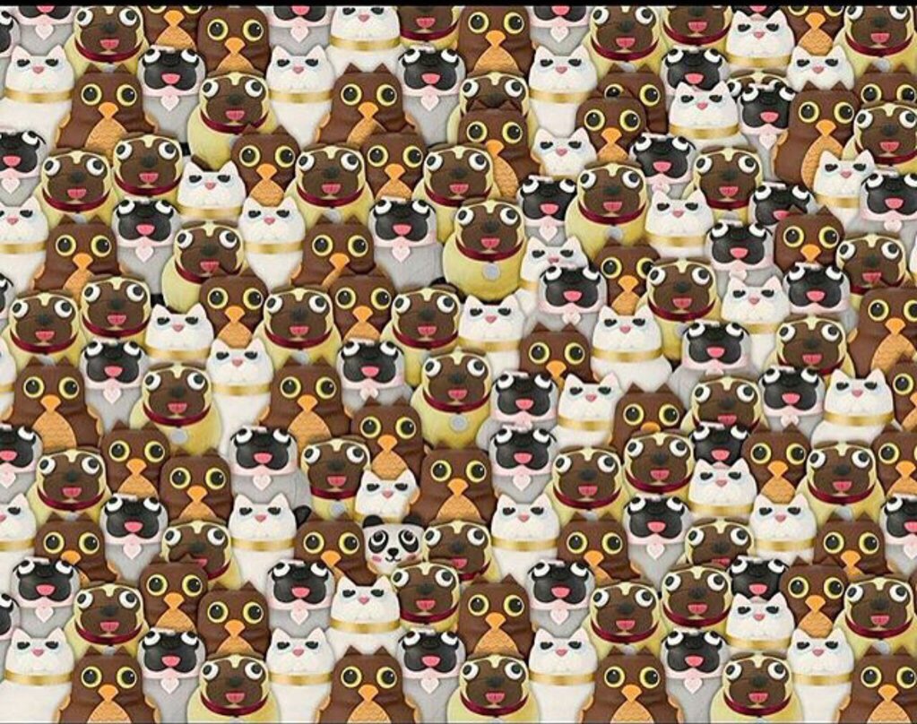 fabrikdiscoteca's tweet photo. Vamos de nuevo !!
Dale a “RT” si has encontrado al panda &amp; gana la doble comodín 😍🐼 https://t.co/KSu0gRdXjE