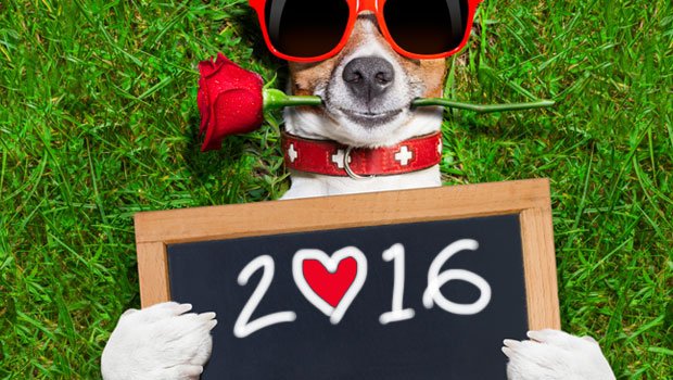 ODHtips's tweet photo. Our crystal ball comes out for some online dating predictions for 2016:
https://t.co/KqPjRU9Zlp https://t.co/ZKlK7oSYpc