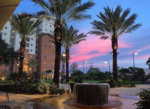 BestUniCampus's tweet photo. University of Tampa, Florida
United States https://t.co/upWfrQ7yiy