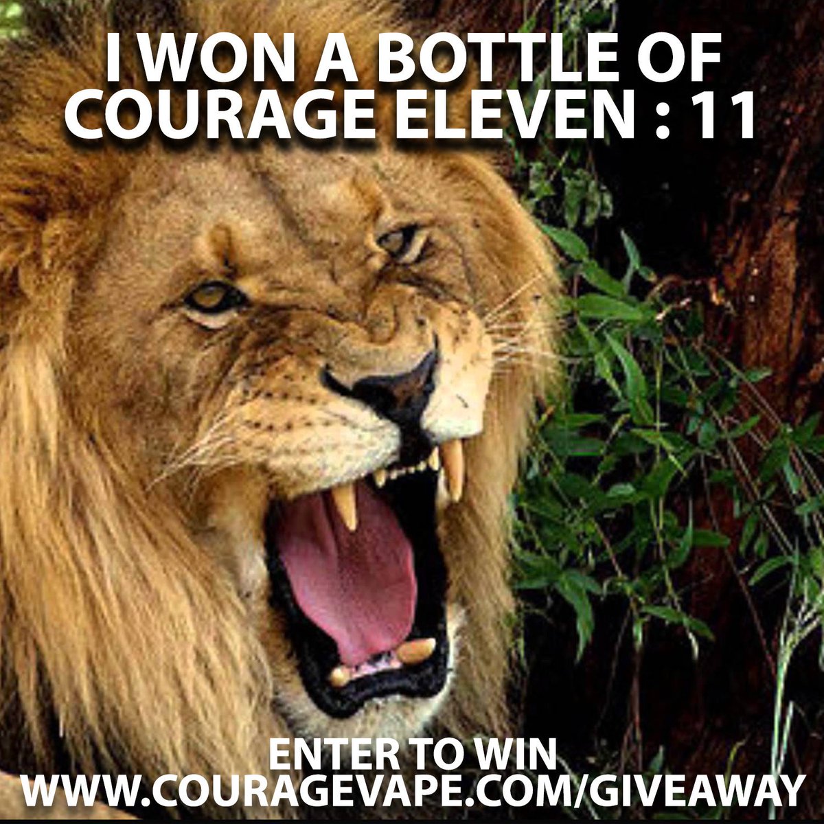 BrianMoo1110's tweet photo. BAM! THERE YOU HAVE IT! @couragevape #couragevapegiveaway https://t.co/iPSS5M1w1t