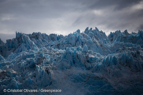 Greenpeace tweet picture