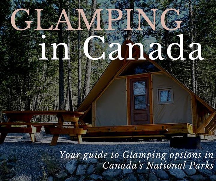 Jami Savage tweet media