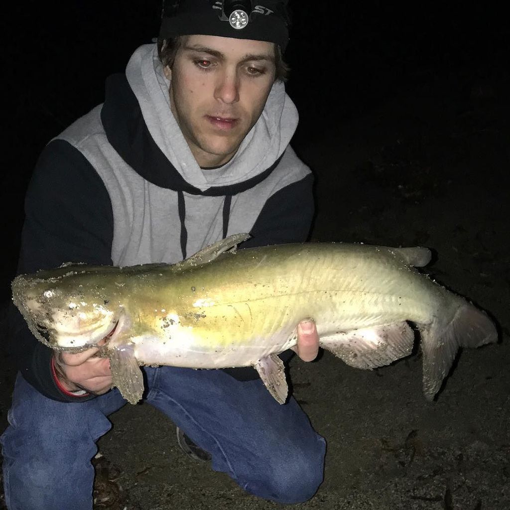 Cinemanimo1's tweet photo. https://t.co/uQjX6EiD2W 😈😻👻 #Creepinwhileyousleepin #SlayDirty #GraveFishers #PondScumAnglers #DepthSquad #Channel… https://t.co/VIhDS8yZXH