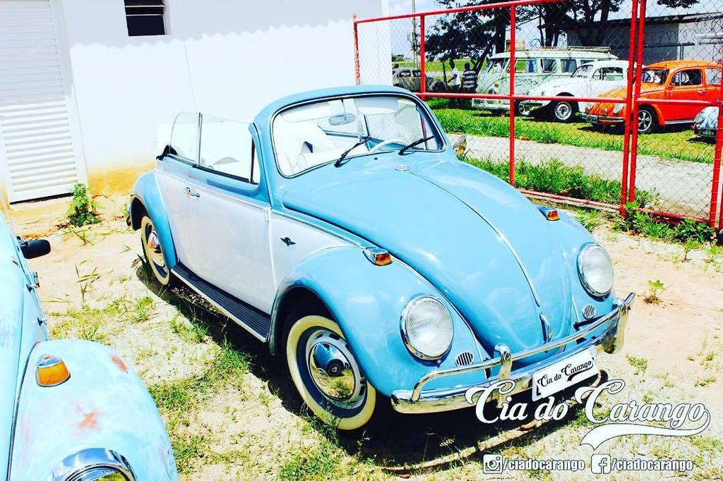 oldcar_photo's tweet photo. #ciadocarango #euamocarroantigo #carroantigo #carroantigos #carroantigo_bh #oldcar #oldcars #oldcarshow #encontroca… https://t.co/f9TGi63gpv