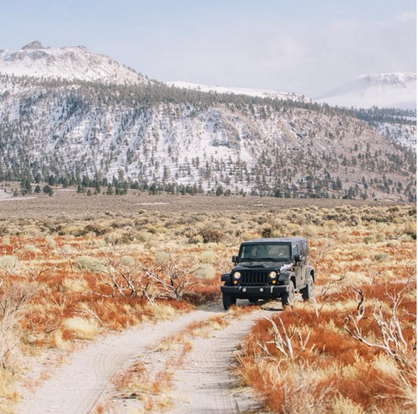 Harrauto's tweet photo. Jeep Community Advice for Tops Mods for a new Wrangler!
https://t.co/2HaBuiglDU
IG 📷 : jeepofficial https://t.co/sBuzpW6IHP